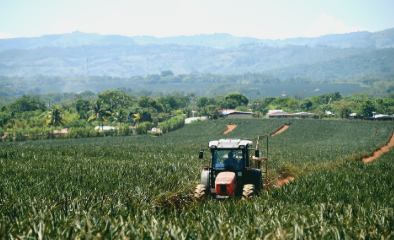 Región Huetar Norte